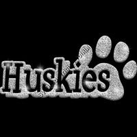 GLT17 SILVER GLITTER Thumbnail