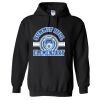 18500 Adult Heavy Blend Hooded Sweatshirt Thumbnail